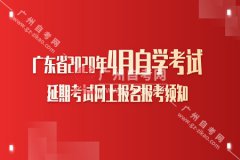广东省2020年4月高等教育自学考试