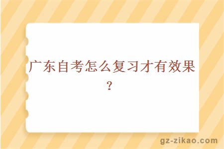 广东自考怎么复习才有效果？