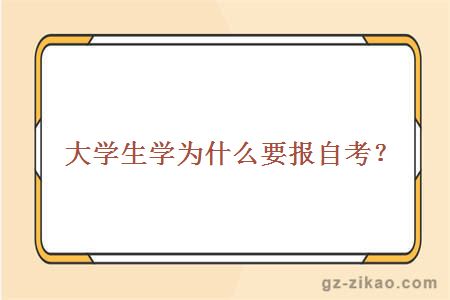 大学生学为什么要报自考？