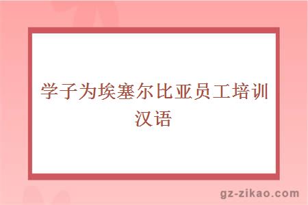 学子为埃塞尔比亚员工培训汉语