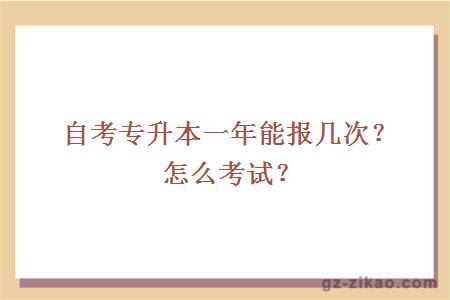 自考专升本一年能报几次？怎么考试？