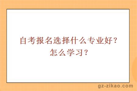 自考报名选择什么专业好？怎么学习？