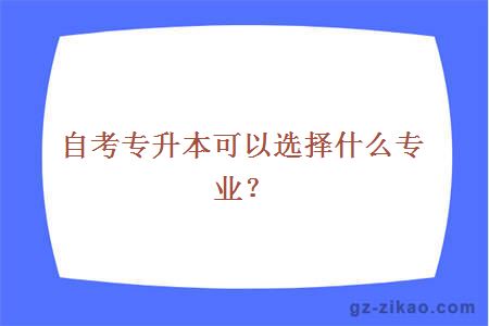 自考专升本可以选择什么专业？