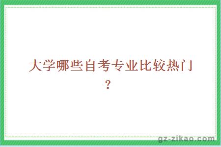 大学哪些自考专业比较热门？