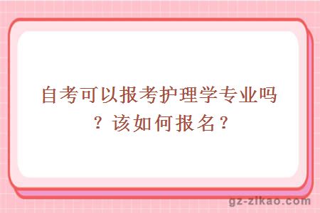 自考可以报考护理学专业吗？该如何报名？