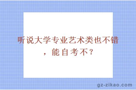 听说大学专业艺术类也不错，能自考不？