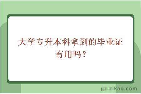 大学专升本科拿到的毕业证有用吗？