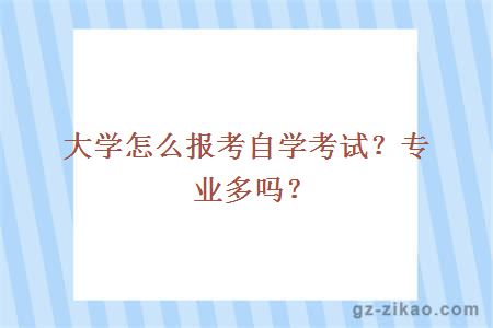 大学怎么报考自学考试？专业多吗？