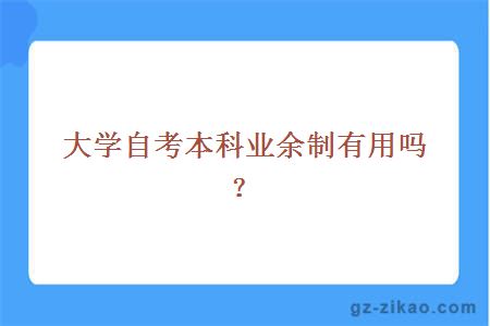 大学自考本科业余制有用吗？