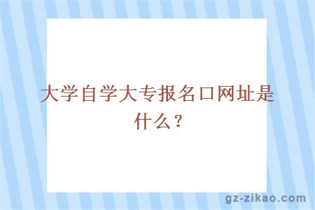 大学自学大专报名口网址是什么？