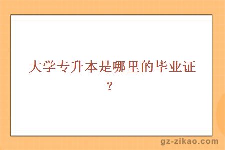 大学专升本是哪里的毕业证？