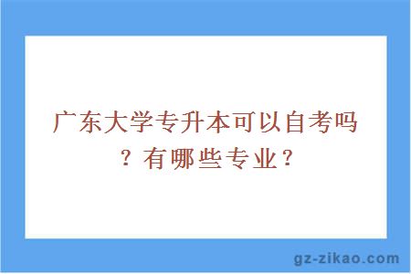 广东大学专升本可以自考吗？有哪些专业？