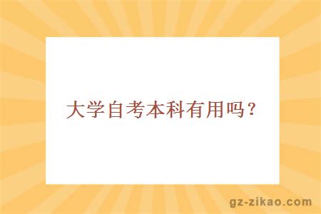 大学自考本科有用吗？