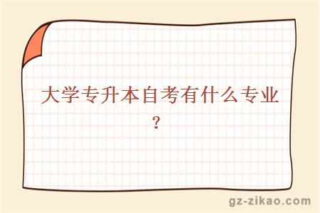 大学专升本自考有什么专业？