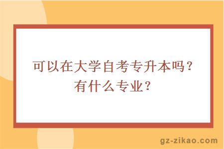 可以在大学自考专升本吗？有什么专业？