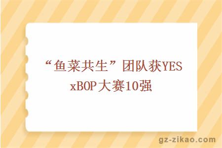 “鱼菜共生”团队获YESxBOP大赛10强