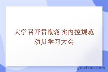 召开贯彻落实内控规范动员学习大会