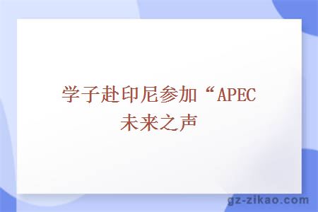 学子赴印尼参加“APEC未来之声