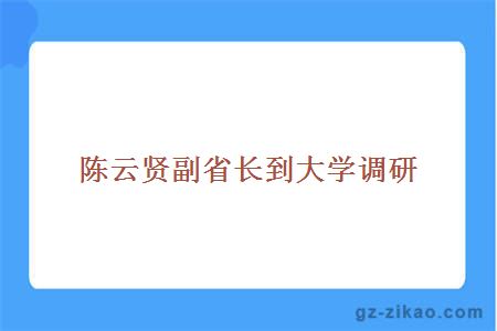 陈云贤副省长到调研 