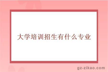 大学培训招生有什么专业