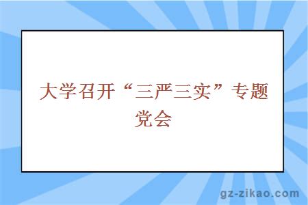 大学召开“三严三实”专题党会