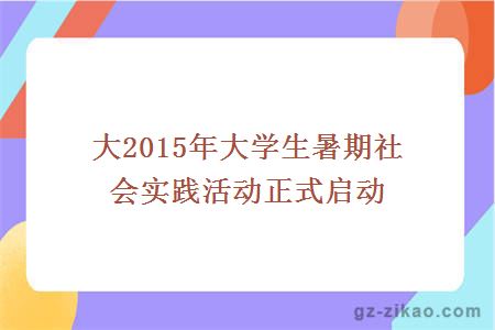 大2015年大学生暑期社会实践活动正式启动