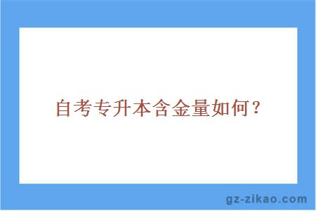自考专升本
