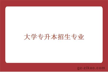 大学专升本招生专业