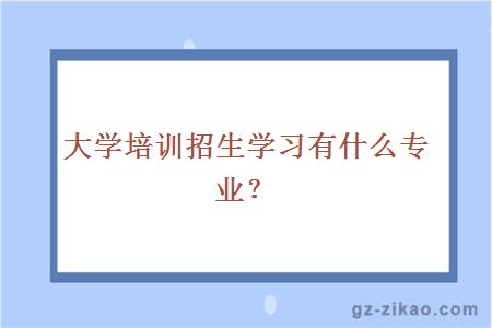 大学培训招生学习有什么专业？