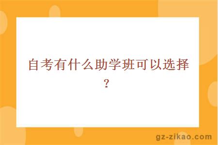 自考有什么助学班可以选择？