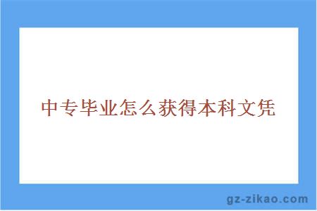本科文凭