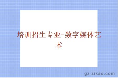 数字媒体艺术