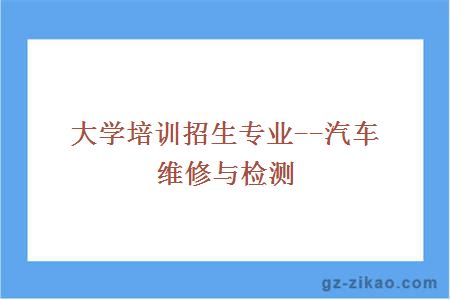 大学培训招生专业--汽车维修与检测