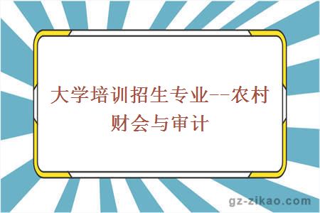 大学培训招生专业--农村财会与审计