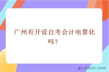 广州有开设自考会计电算化吗？
