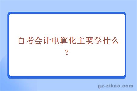 自考会计电算化主要学什么？