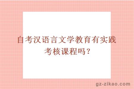 自考汉语言文学教育有实践考核课程吗？