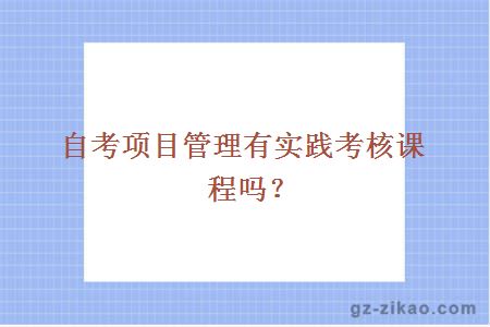 自考项目管理有实践考核课程吗？