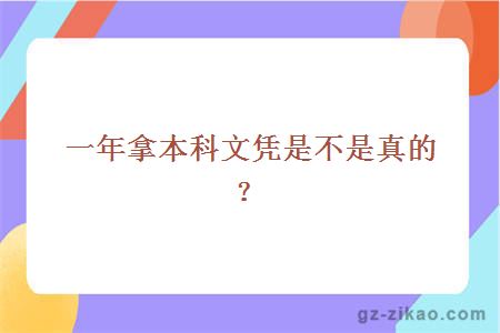 一年拿本科文凭是不是真的？