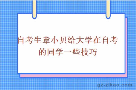 自考生章小贝给大学在自考的同学一些技巧