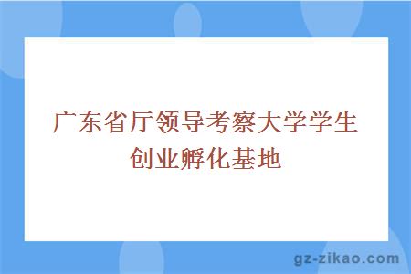 广东省厅领导考察大学学生创业孵化基地