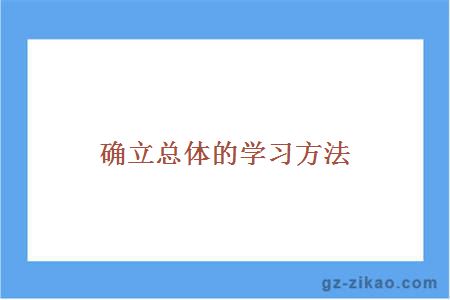 确立总体的学习方法