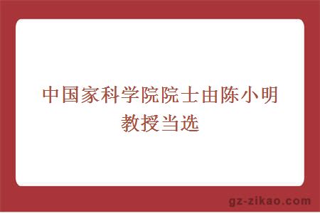 中国家科学院院士由陈小明教授当选
