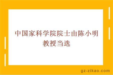 中国家科学院院士由陈小明教授当选 