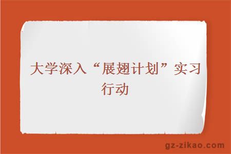 大学深入“展翅计划”实习行动