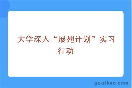 大学深入“展翅计划”实习行动