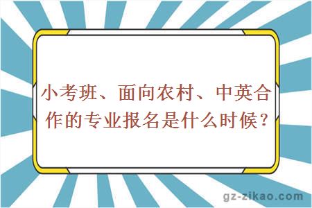 小考班、面向农村、中英合作的专业报名是什么时候？