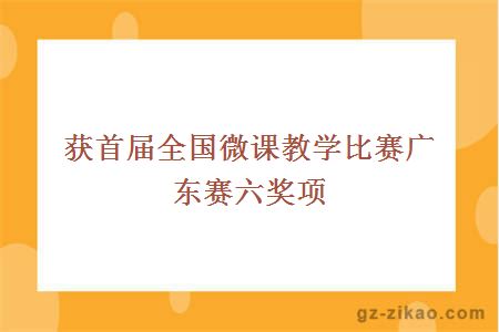 获首届全国微课教学比赛广东赛六奖项