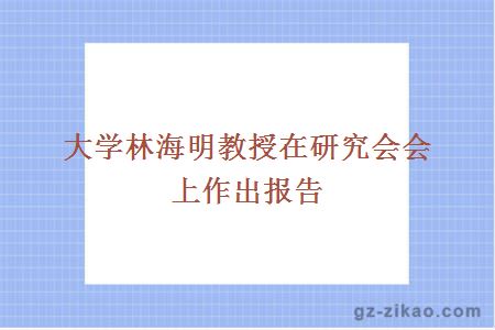 大学林海明教授在研究会会上作出报告