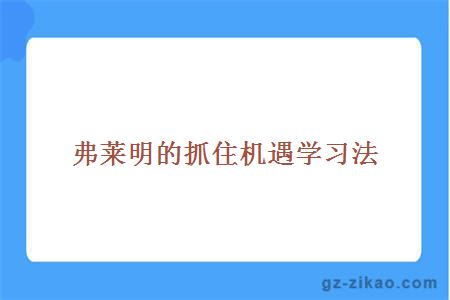 弗莱明的抓住机遇学习法